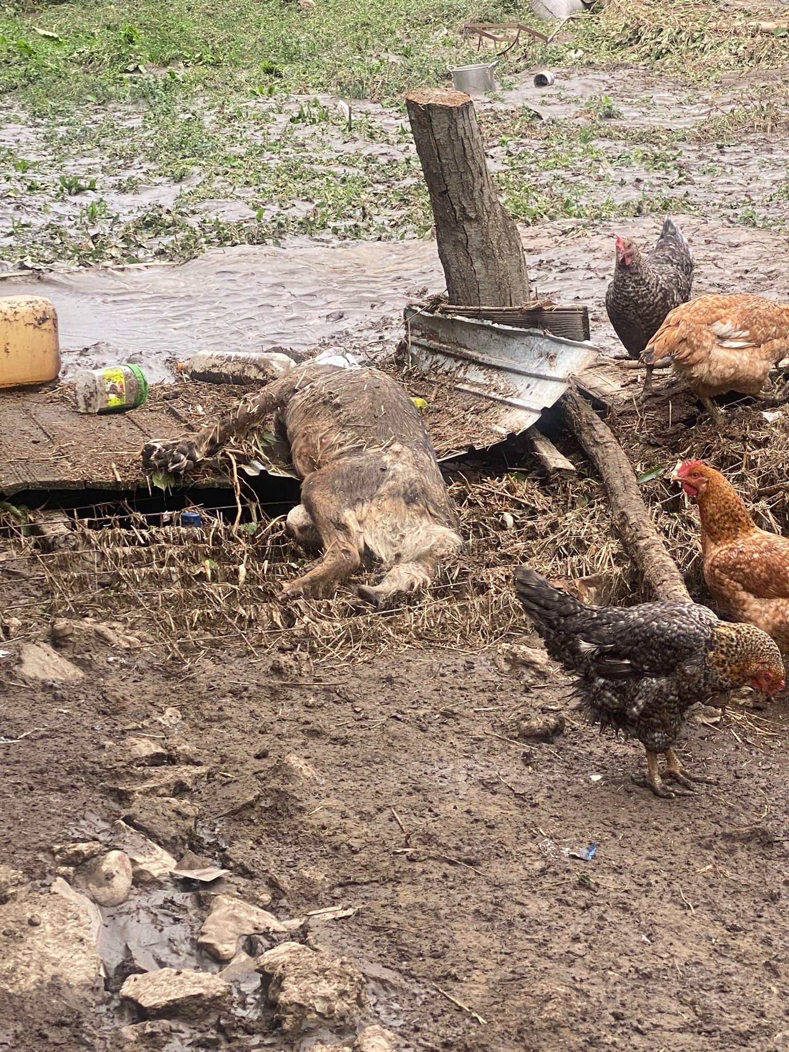 În faţa dezastrelor naturale