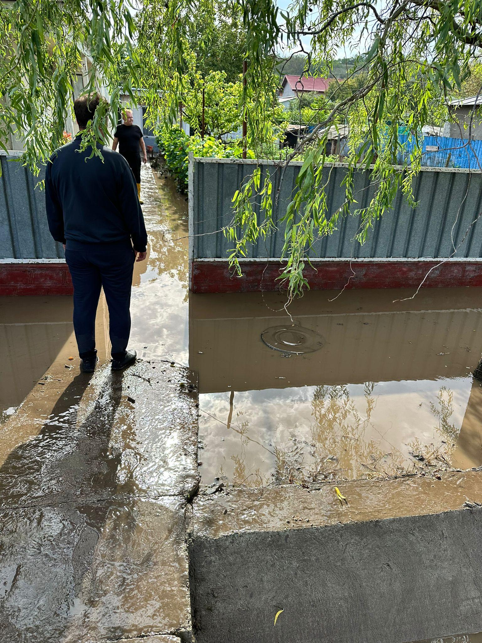 În faţa dezastrelor naturale