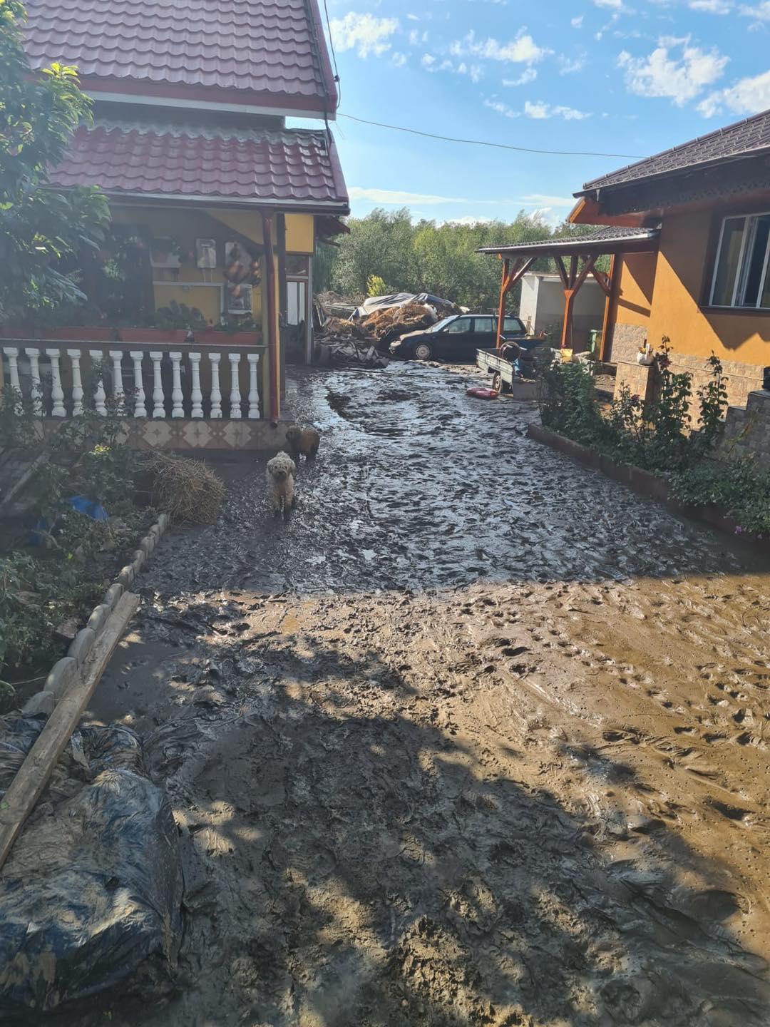În faţa dezastrelor naturale