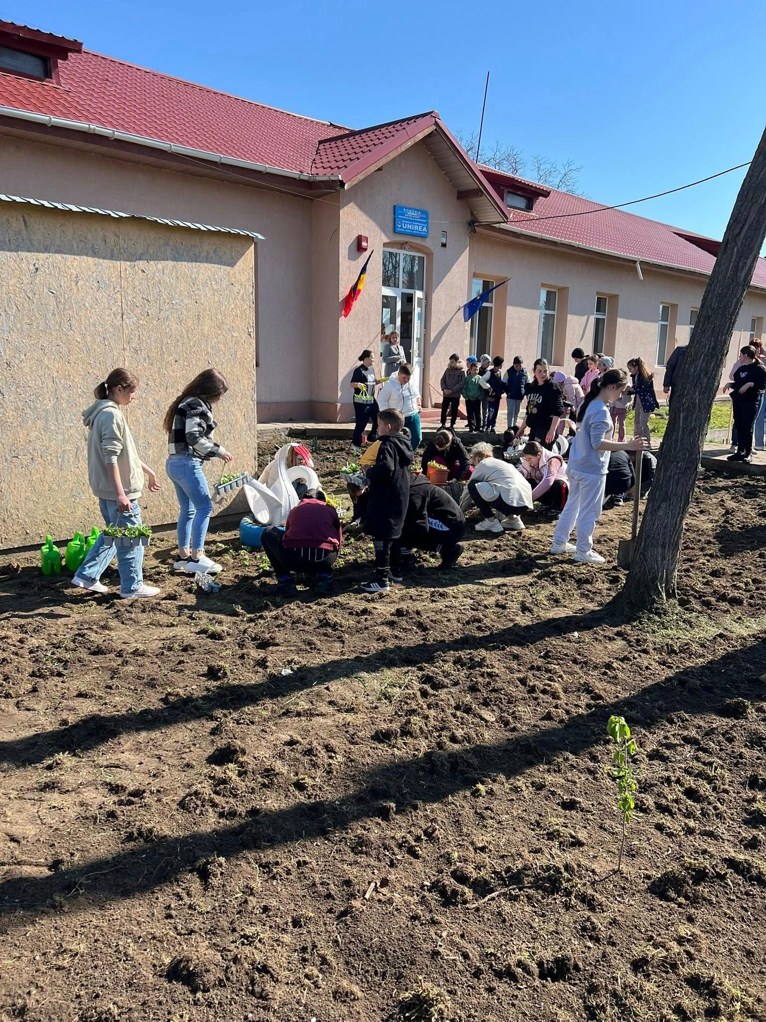 plantat pomi