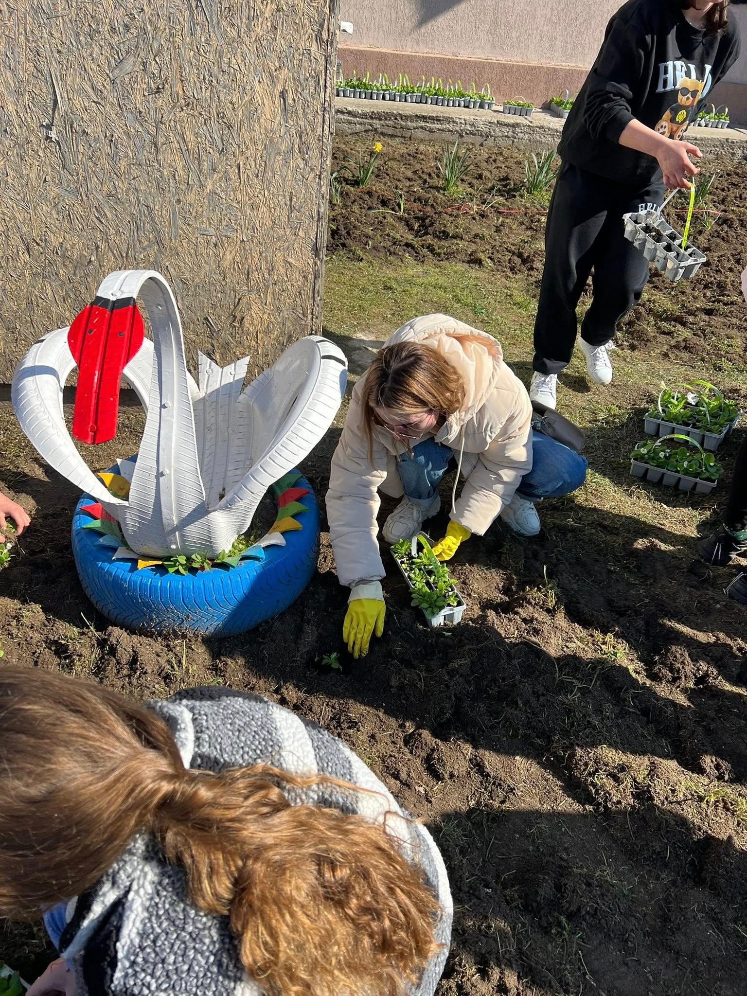 plantat pomi