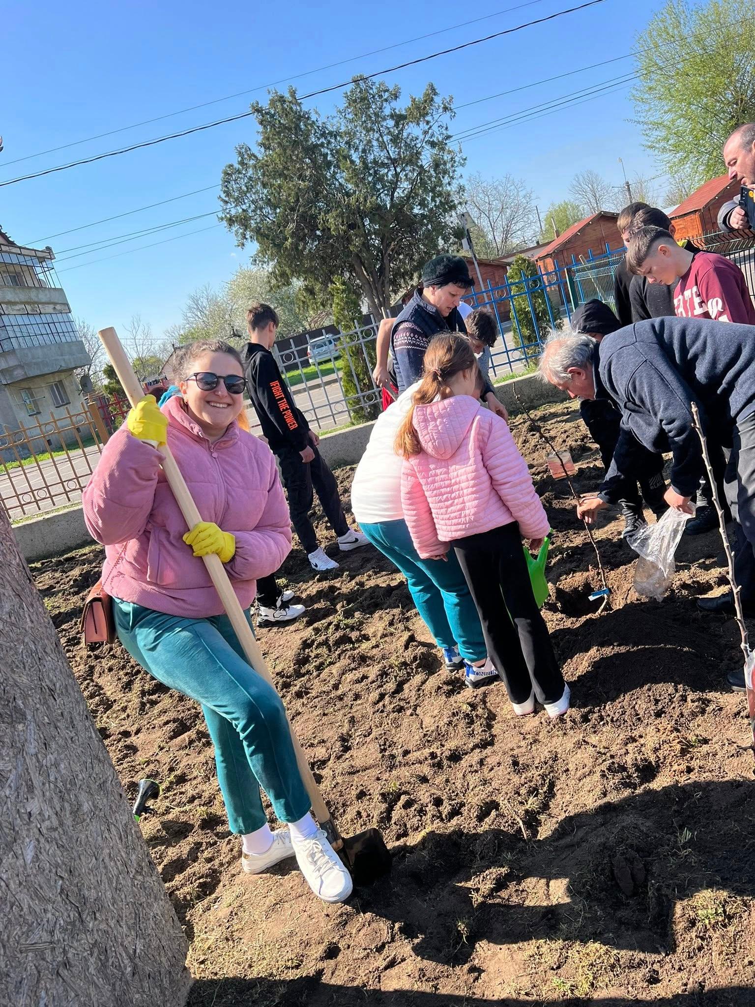 plantat pomi