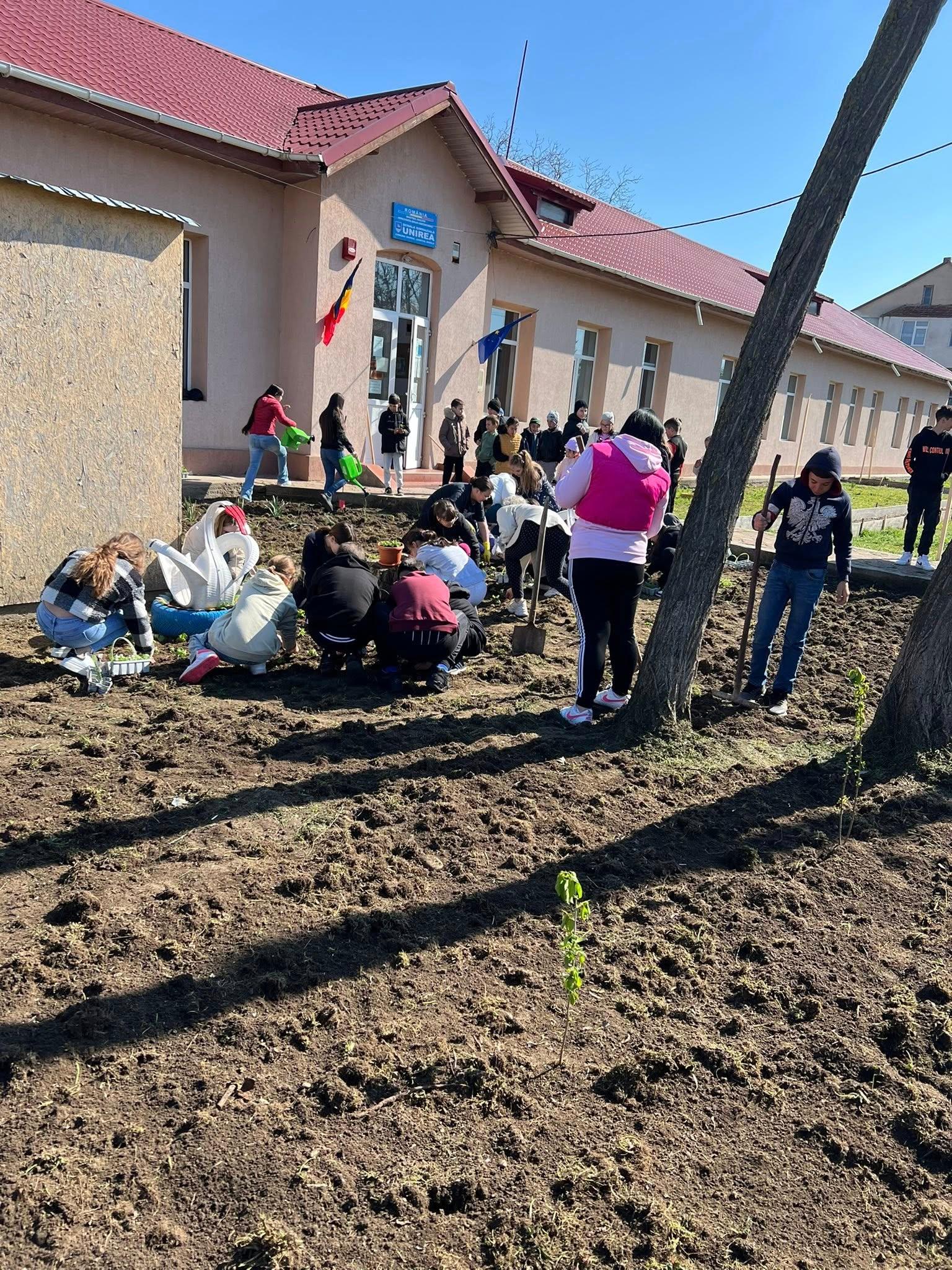 plantat pomi