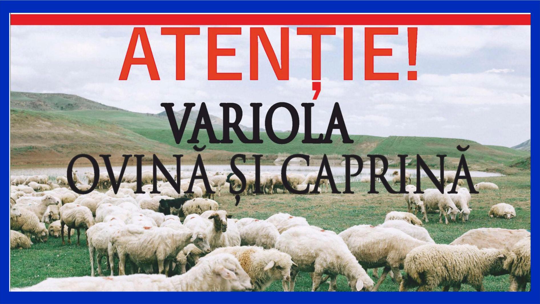 Alerta Alimentara