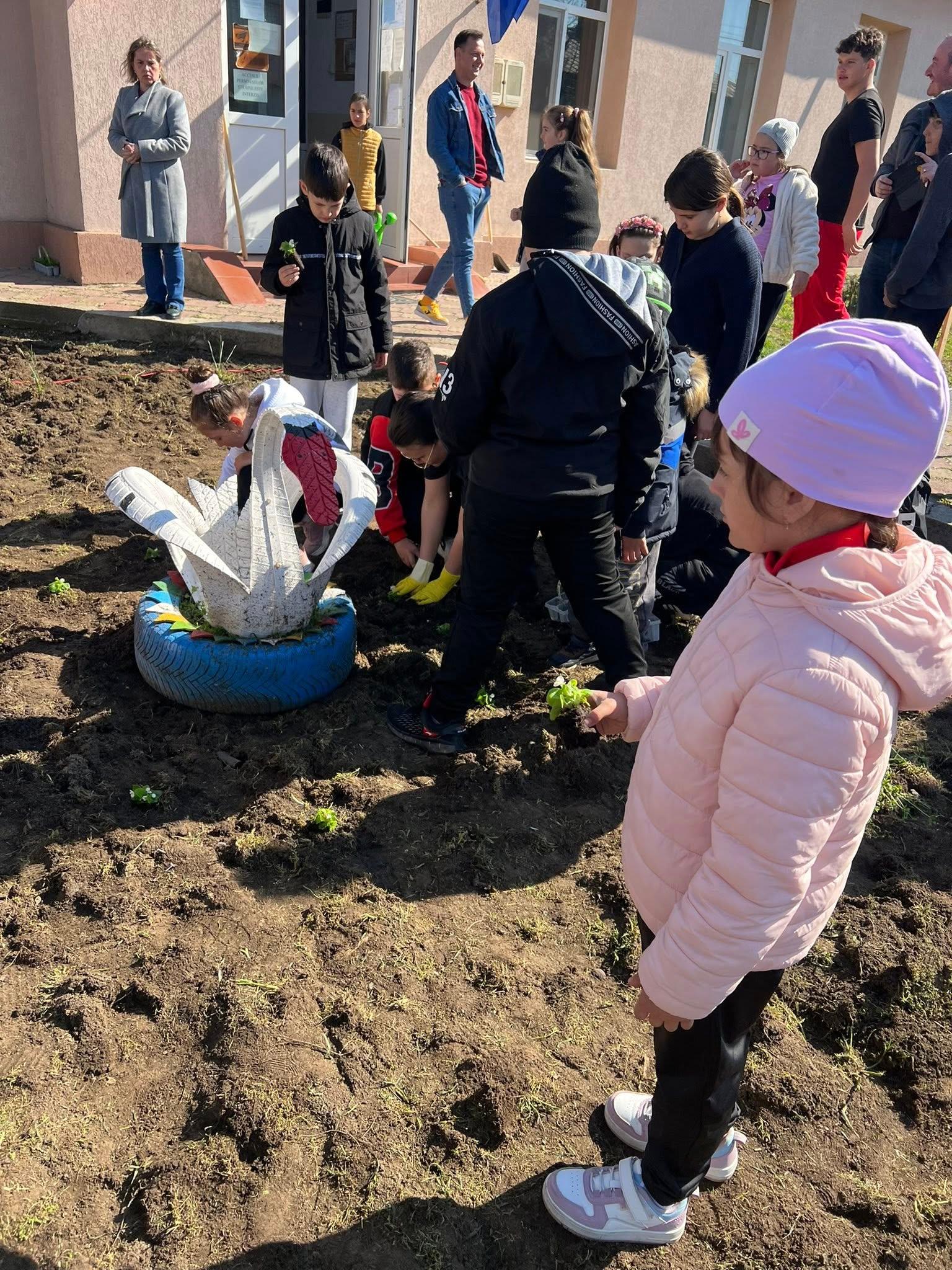 plantat pomi