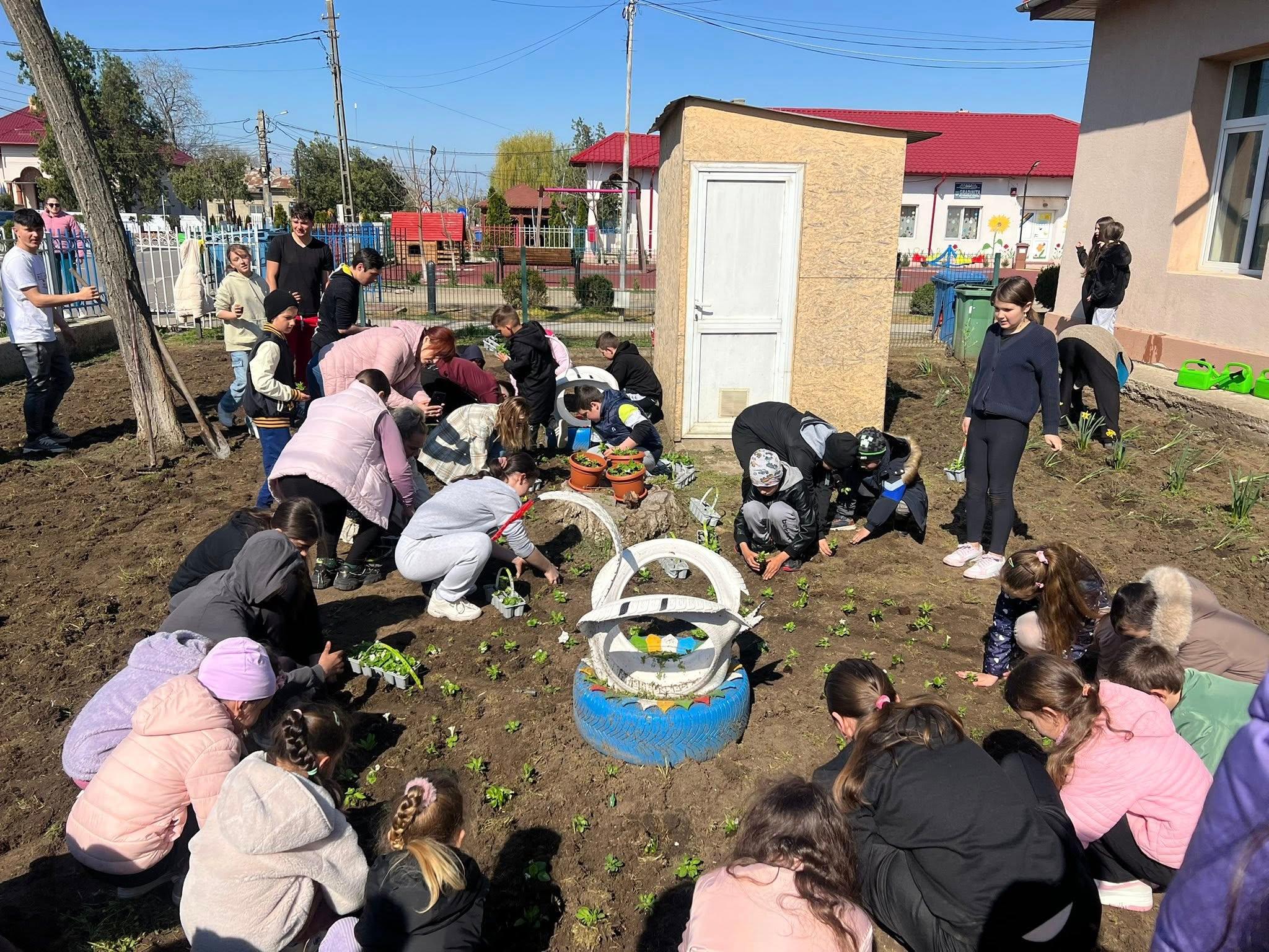 plantat pomi