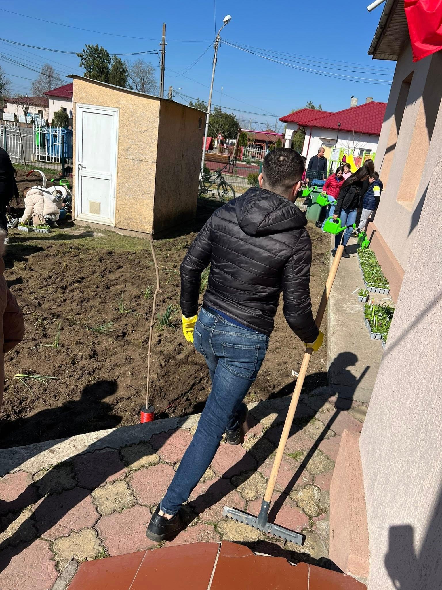 plantat pomi