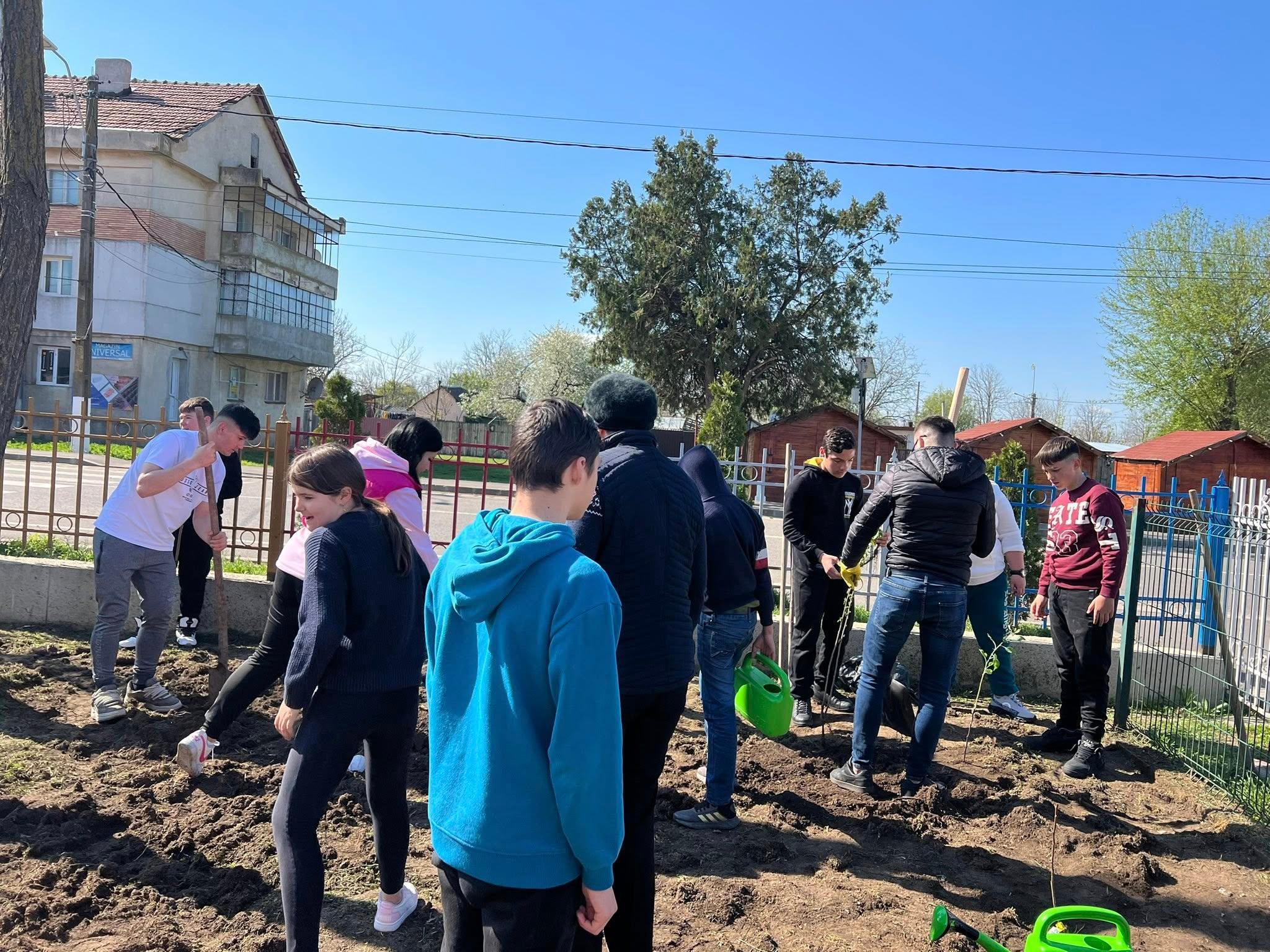 plantat pomi